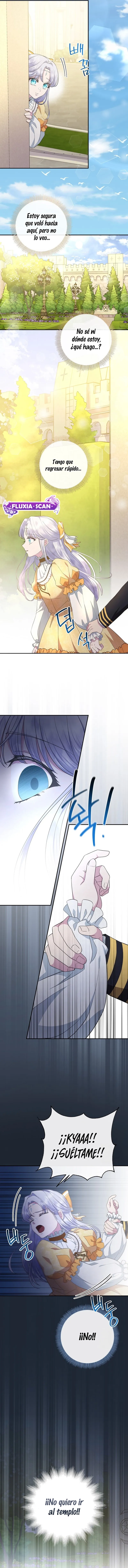 12 Las violetas que florecieron en el jardín