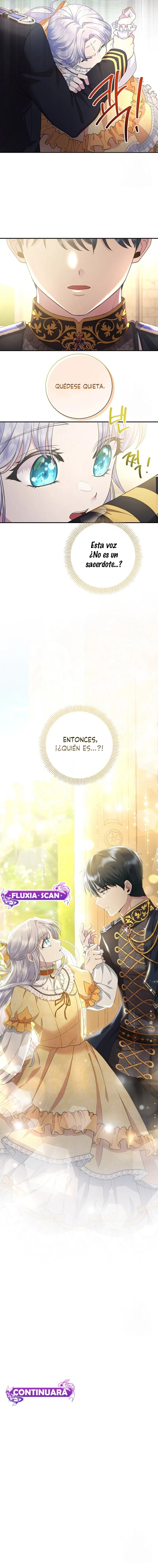 13 Las violetas que florecieron en el jardín