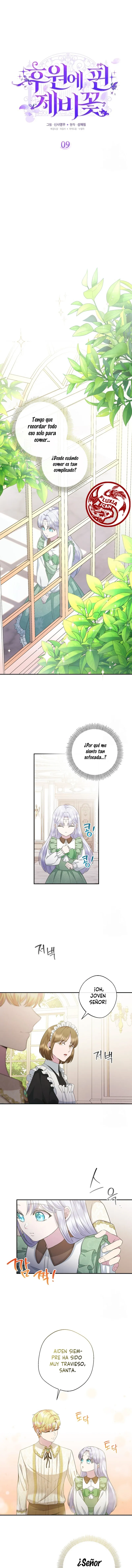 4 Las violetas que florecieron en el jardín