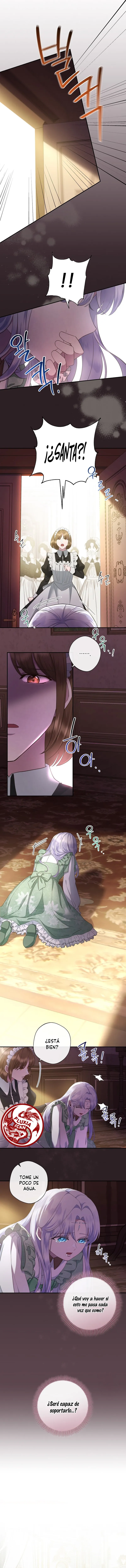 6 Las violetas que florecieron en el jardín