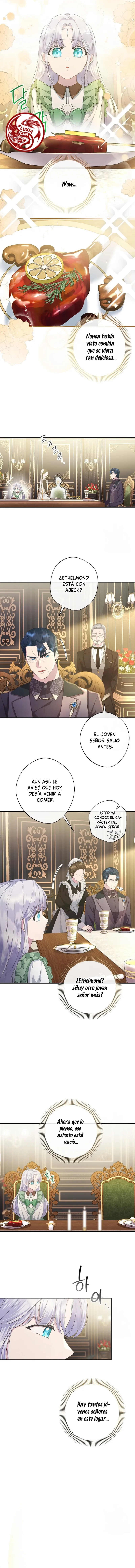 1 Las violetas que florecieron en el jardín