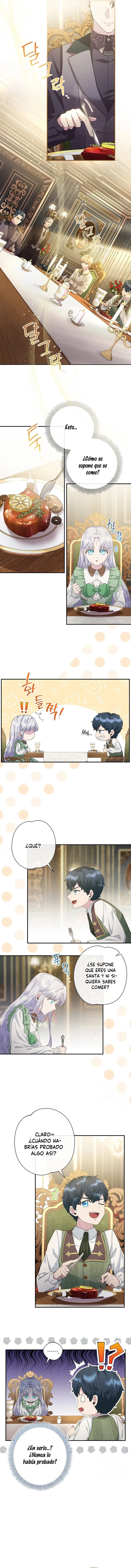 2 Las violetas que florecieron en el jardín