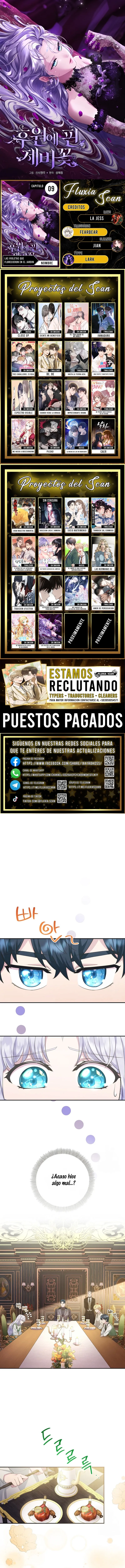 0 Las violetas que florecieron en el jardín