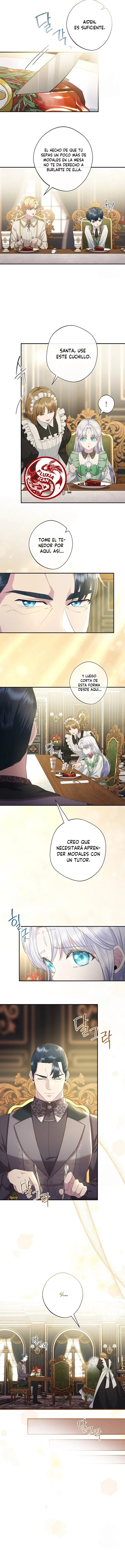 3 Las violetas que florecieron en el jardín