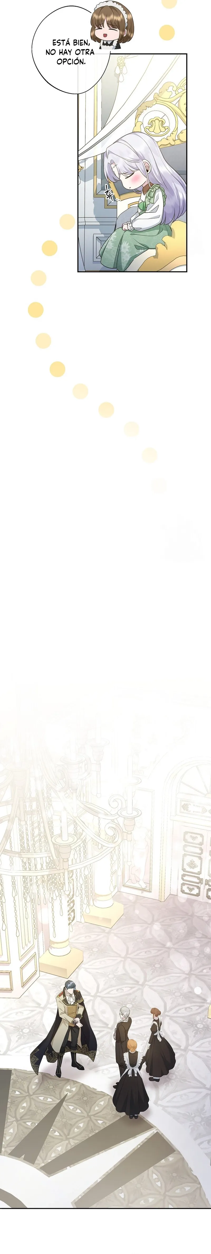 8 Las violetas que florecieron en el jardín