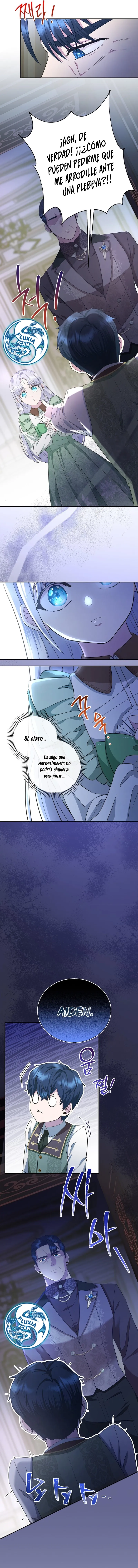 11 Las violetas que florecieron en el jardín