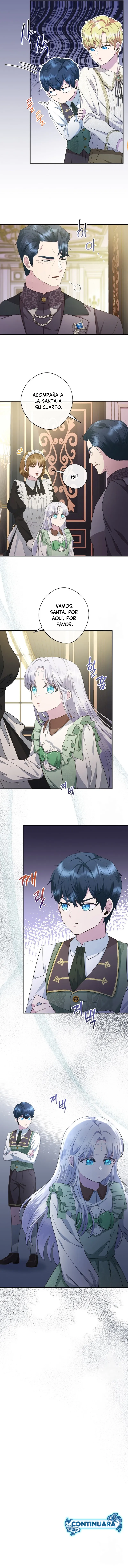 12 Las violetas que florecieron en el jardín