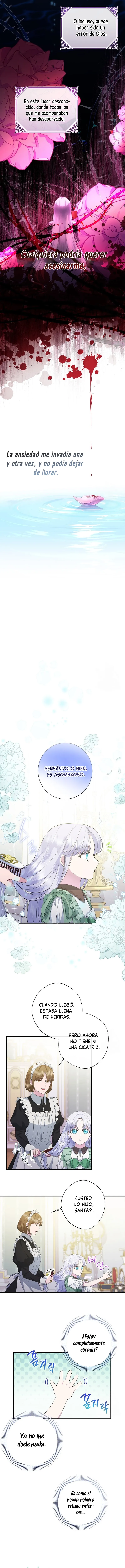 6 Las violetas que florecieron en el jardín