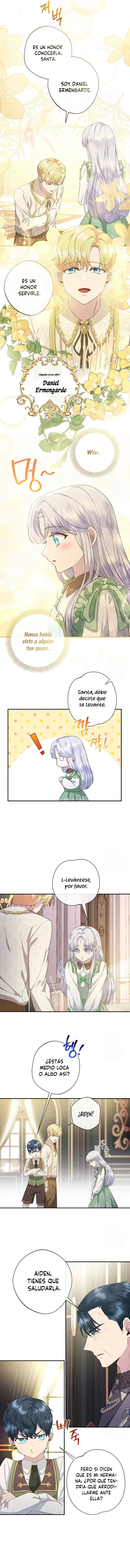 10 Las violetas que florecieron en el jardín