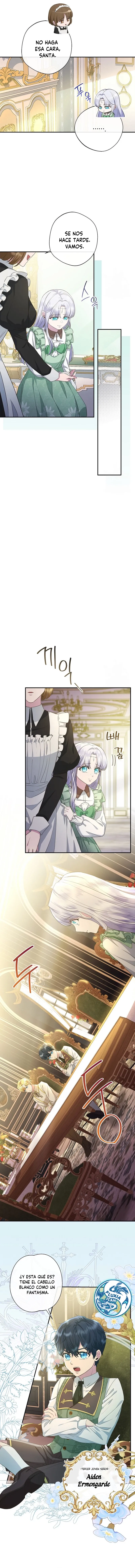 8 Las violetas que florecieron en el jardín