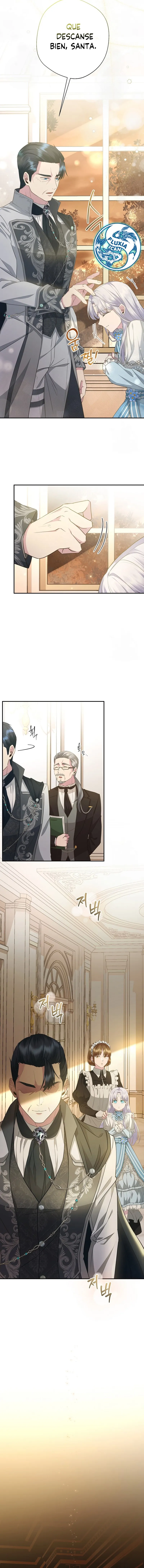 3 Las violetas que florecieron en el jardín