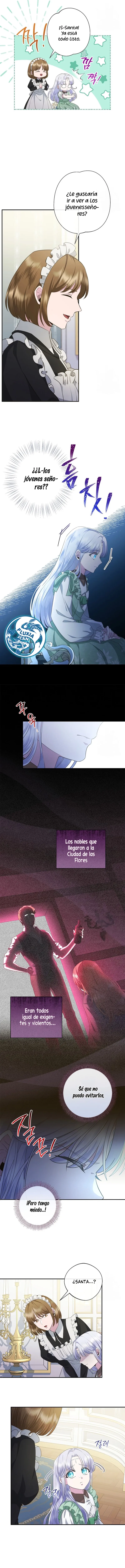 7 Las violetas que florecieron en el jardín