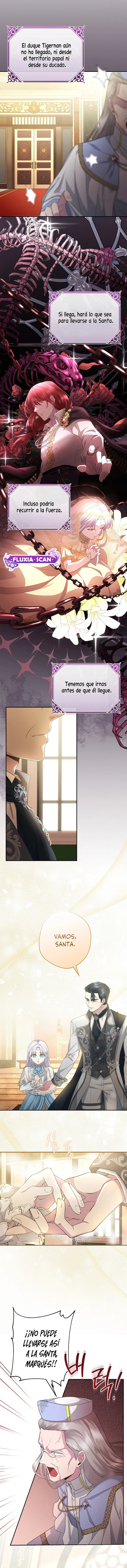 6 Las violetas que florecieron en el jardín