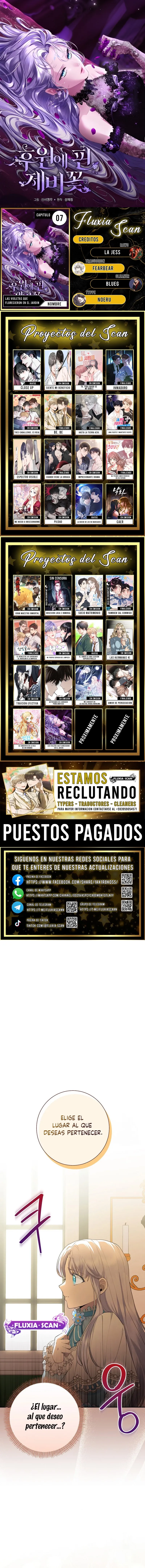 0 Las violetas que florecieron en el jardín