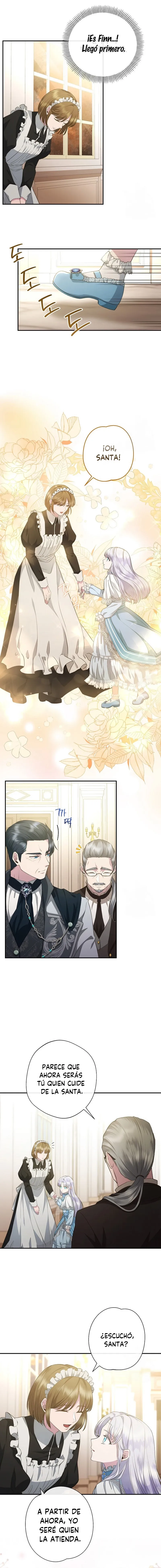 11 Las violetas que florecieron en el jardín