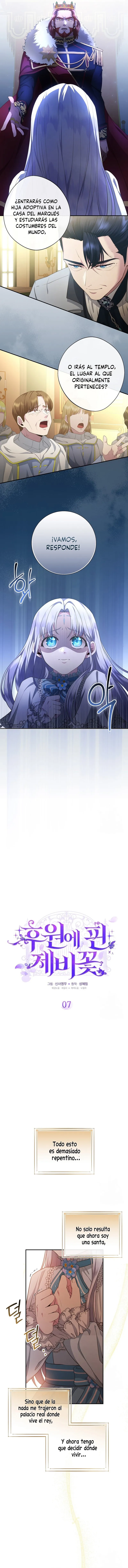 2 Las violetas que florecieron en el jardín