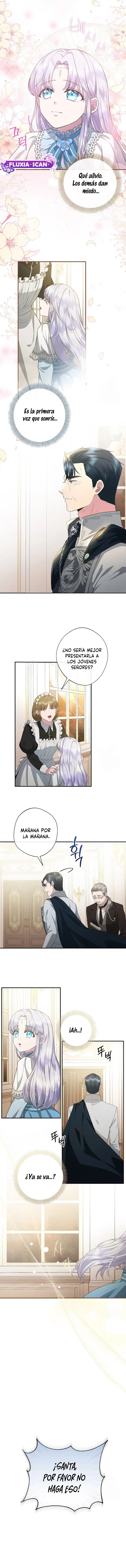 12 Las violetas que florecieron en el jardín