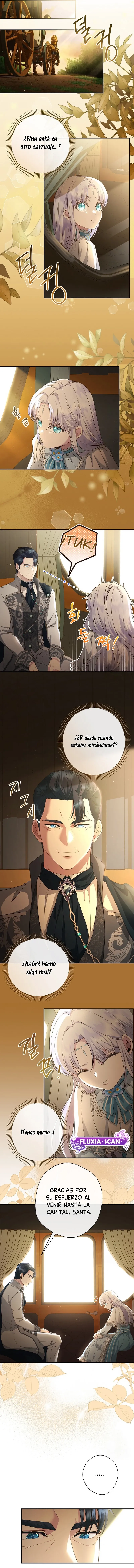 8 Las violetas que florecieron en el jardín