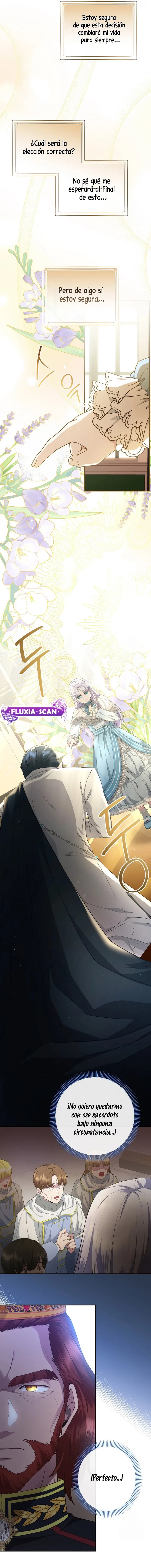 3 Las violetas que florecieron en el jardín