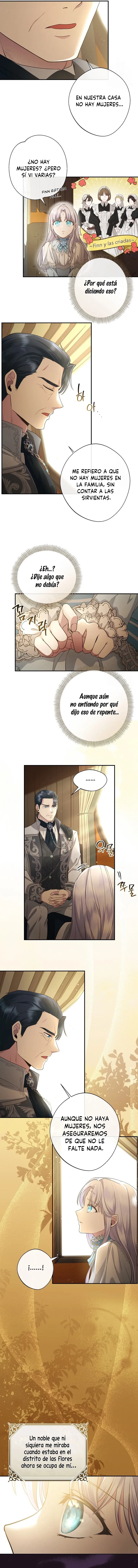 9 Las violetas que florecieron en el jardín