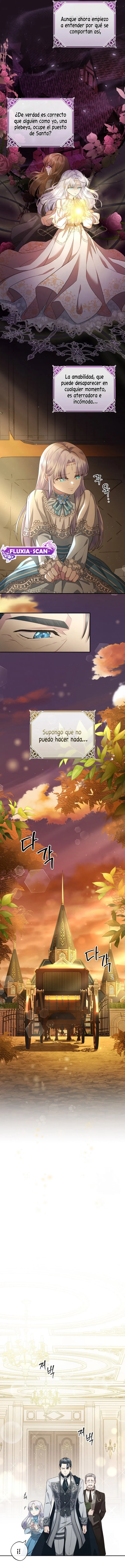 10 Las violetas que florecieron en el jardín