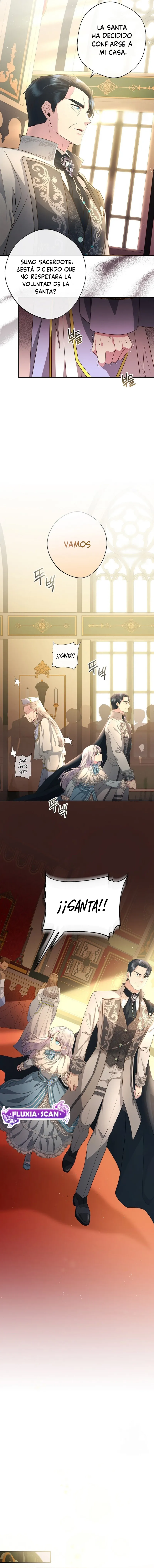 7 Las violetas que florecieron en el jardín