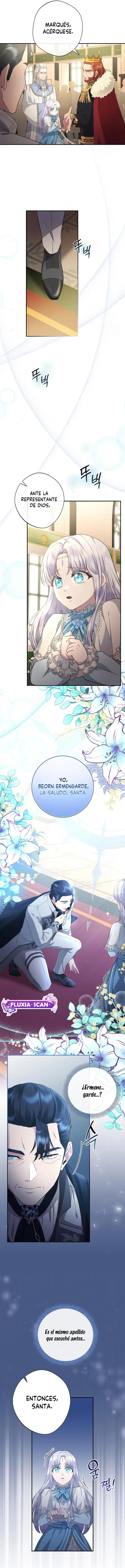 12 Las violetas que florecieron en el jardín