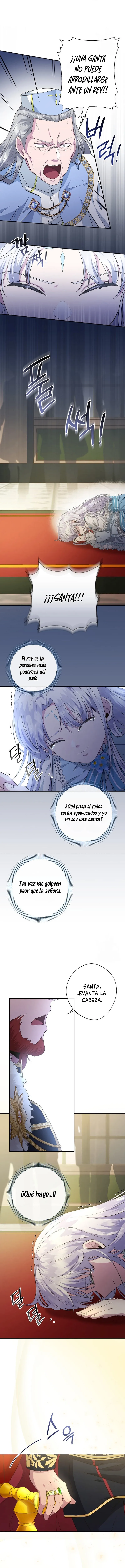 8 Las violetas que florecieron en el jardín