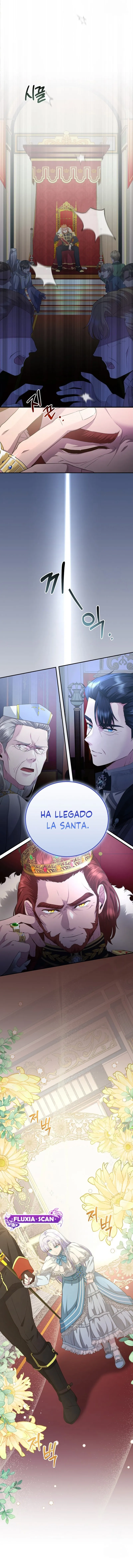 6 Las violetas que florecieron en el jardín