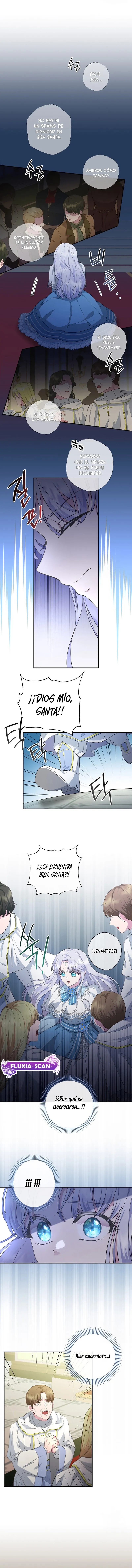 10 Las violetas que florecieron en el jardín