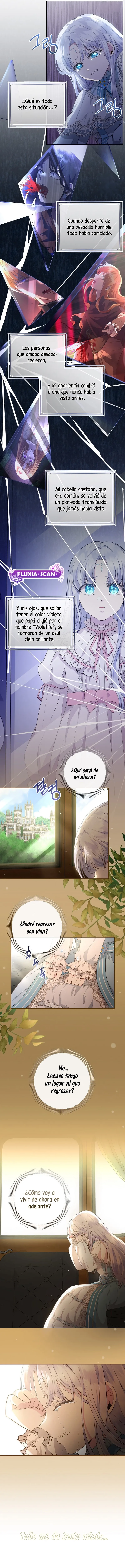 1 Las violetas que florecieron en el jardín