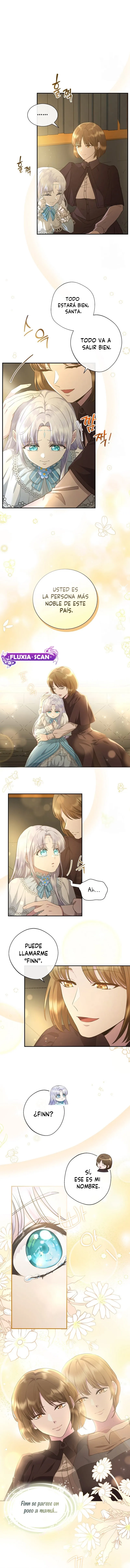 2 Las violetas que florecieron en el jardín