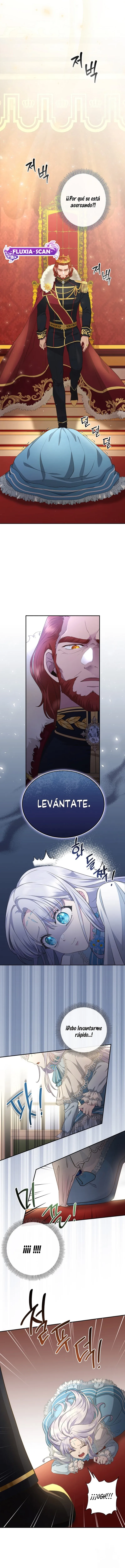 9 Las violetas que florecieron en el jardín