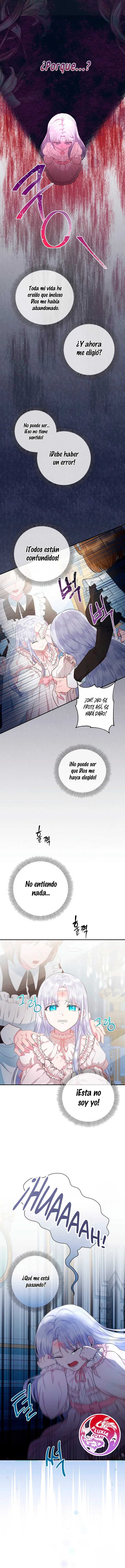 6 Las violetas que florecieron en el jardín