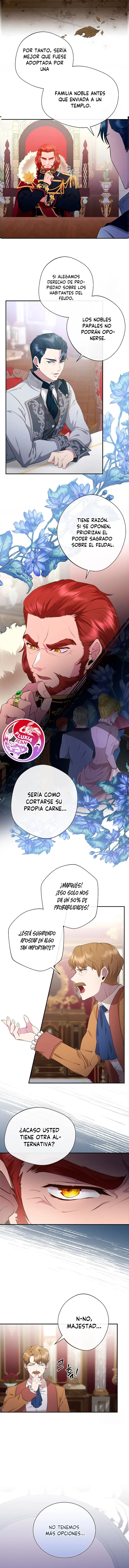 12 Las violetas que florecieron en el jardín