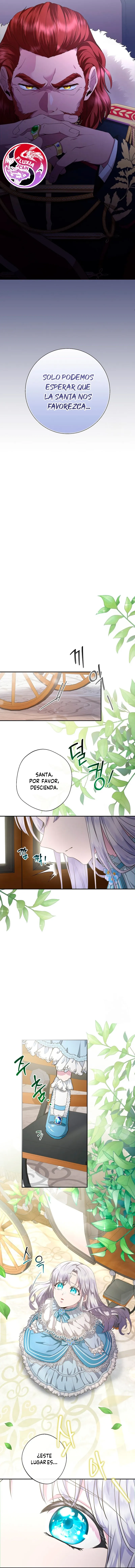 13 Las violetas que florecieron en el jardín