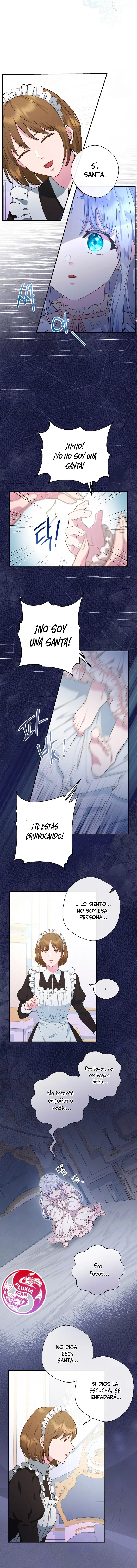 3 Las violetas que florecieron en el jardín