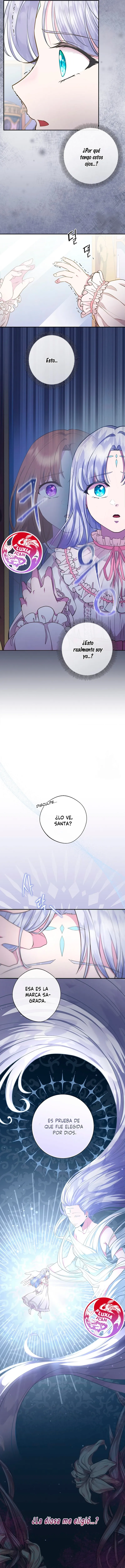 5 Las violetas que florecieron en el jardín