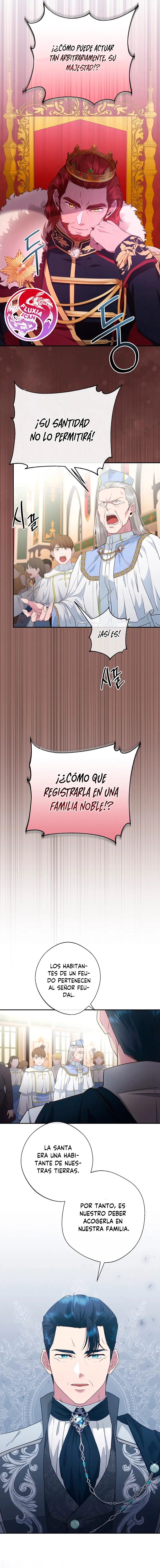 8 Las violetas que florecieron en el jardín