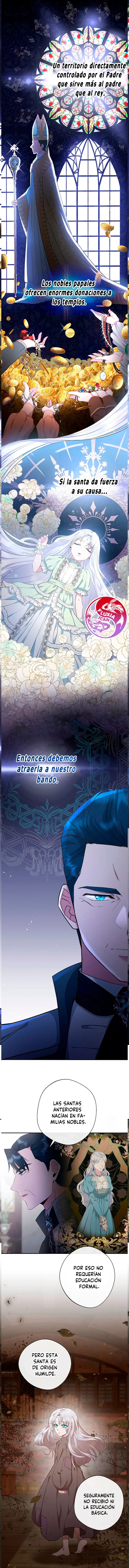 11 Las violetas que florecieron en el jardín