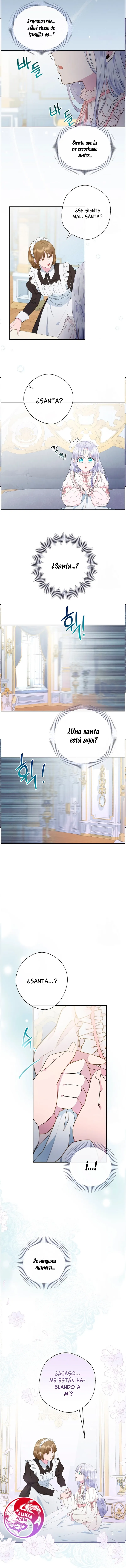 2 Las violetas que florecieron en el jardín