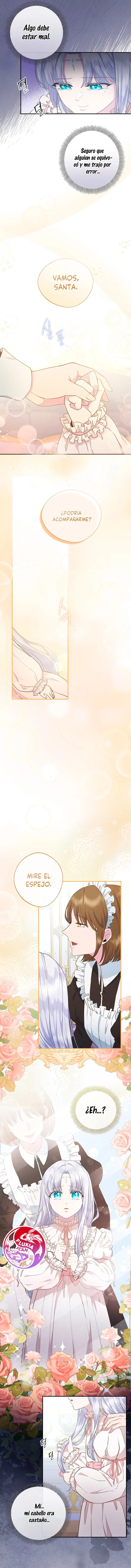 4 Las violetas que florecieron en el jardín