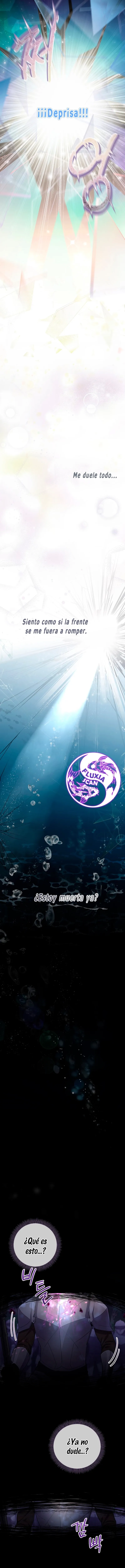 1 Las violetas que florecieron en el jardín