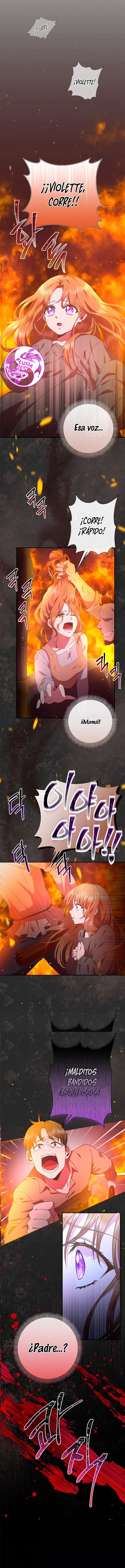 10 Las violetas que florecieron en el jardín