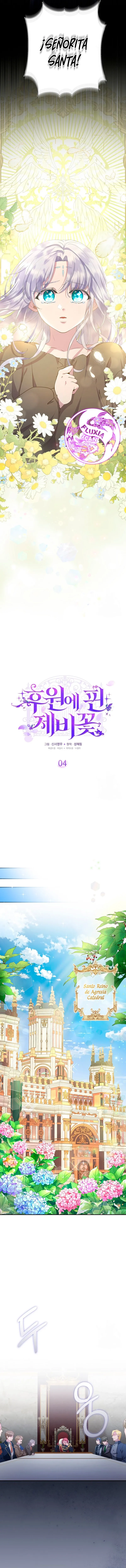 4 Las violetas que florecieron en el jardín