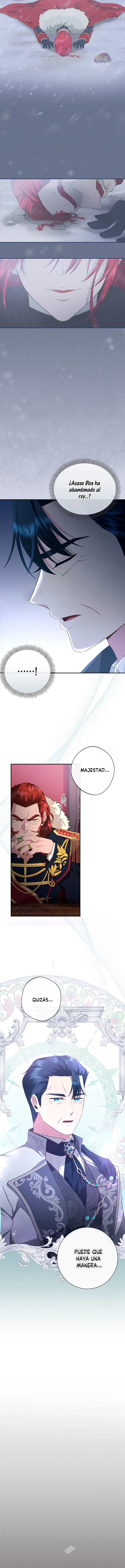 9 Las violetas que florecieron en el jardín