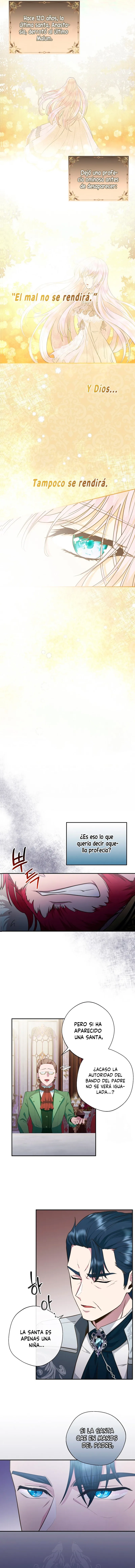 7 Las violetas que florecieron en el jardín