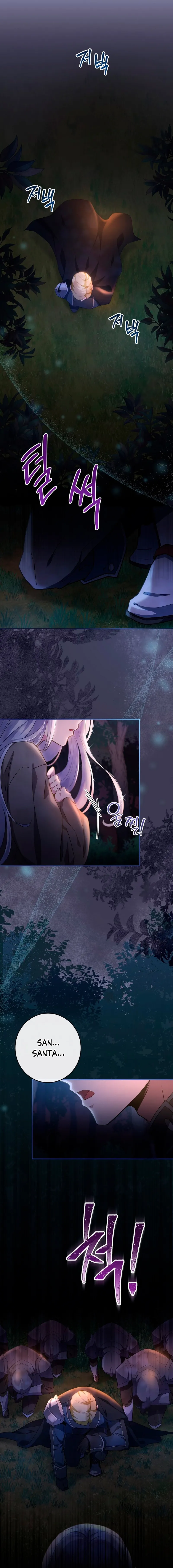 3 Las violetas que florecieron en el jardín