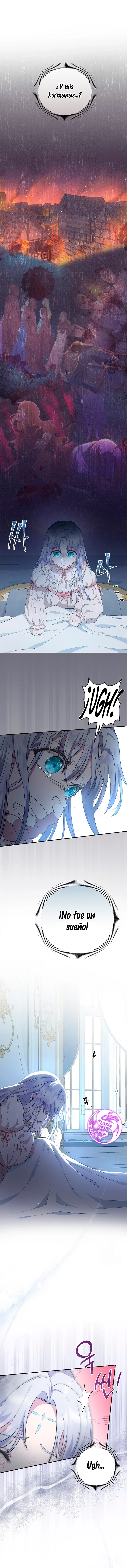 13 Las violetas que florecieron en el jardín