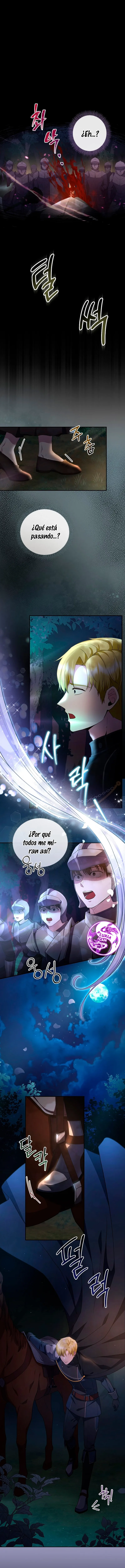 2 Las violetas que florecieron en el jardín